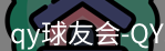qy球友会